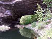 Rockhouse Bottom from Cumberland River