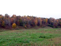 View from Back Deck