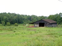 View from Back Deck