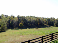 View from Back Deck